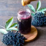 Fermented Elderberry Honey