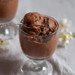 Easy 2-Ingredient Chocolate Mousse