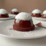 Coconut Dome with Chocolate